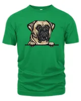 Men's Premium Tshirt